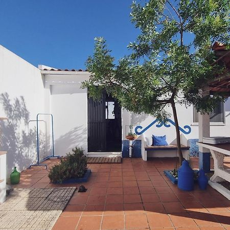 Quintinha Do Sal - Casa Das Flores Alcácer do Sal Dış mekan fotoğraf