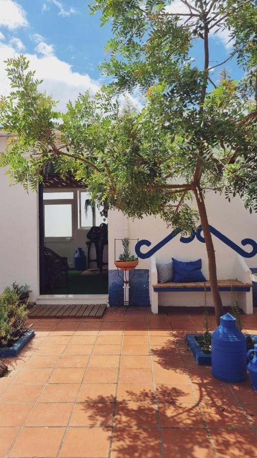 Quintinha Do Sal - Casa Das Flores Alcácer do Sal Dış mekan fotoğraf