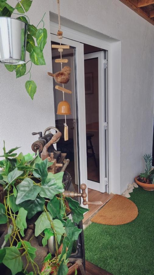Quintinha Do Sal - Casa Das Flores Alcácer do Sal Dış mekan fotoğraf