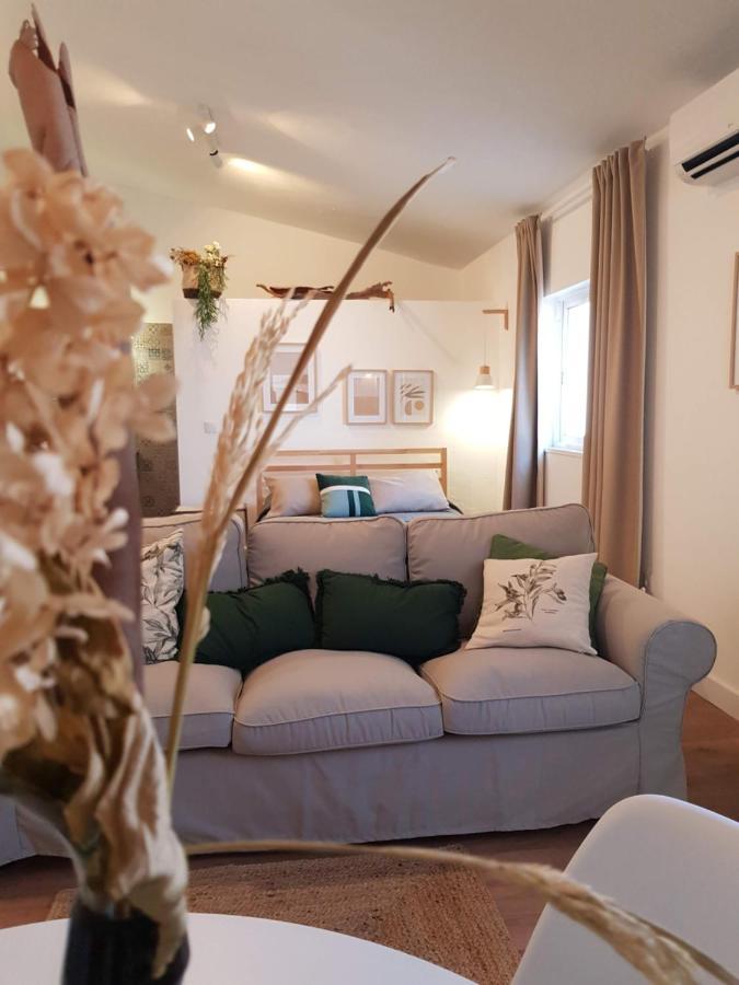 Quintinha Do Sal - Casa Das Flores Alcácer do Sal Dış mekan fotoğraf